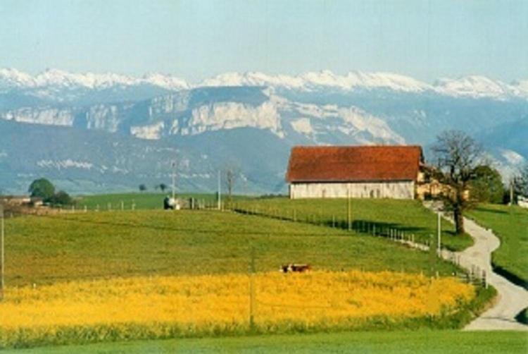 Gite La Grange Du Haut Saint-Antoine  Exterior photo