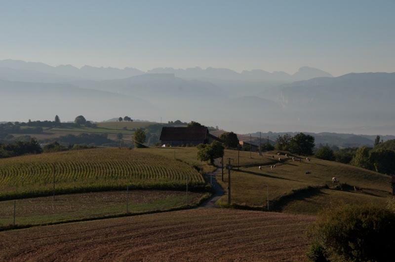 Gite La Grange Du Haut Saint-Antoine  Exterior photo
